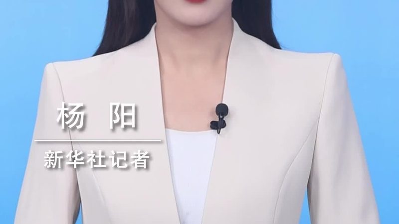 数据分析师必备技能：从数据解读到策略制定